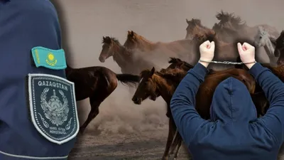 полиция, задержание, лошади, фото - Новости Zakon.kz от 27.04.2026 17:48
