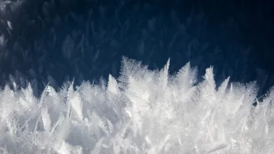 заморозки, фото - Новости Zakon.kz от 27.04.2026 17:32