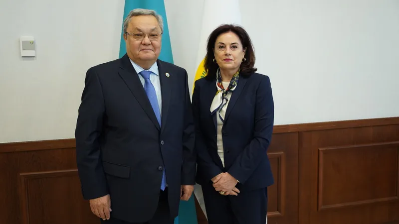 Заместитель председателя ЦИК РК Мухтар Ерман провел встречу с директором БДИПЧ ОБСЕ Марией Телалиан