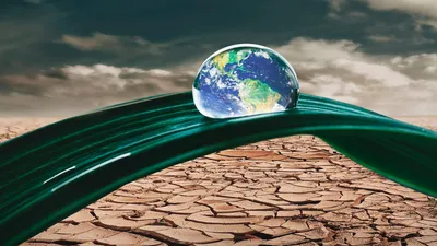 лист, вода, засуха, фото - Новости Zakon.kz от 27.04.2026 18:01