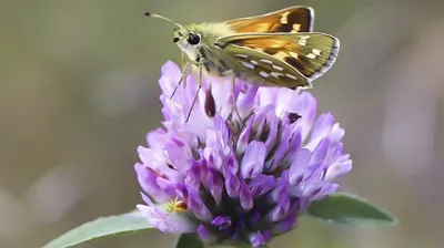Гороскоп на 28 апреля, фото - Новости Zakon.kz от 28.04.2026 08:10