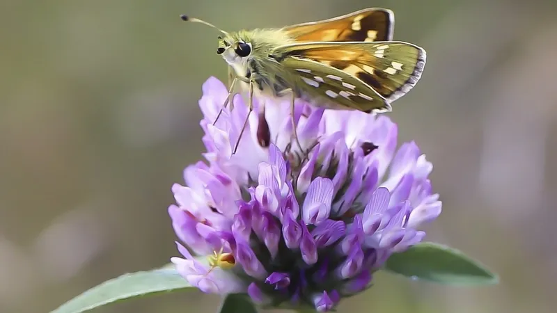 Гороскоп на 28 апреля: день практичных решений