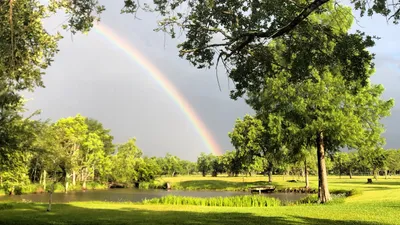 деревья, радуга, водоем, фото - Новости Zakon.kz от 27.04.2026 15:05