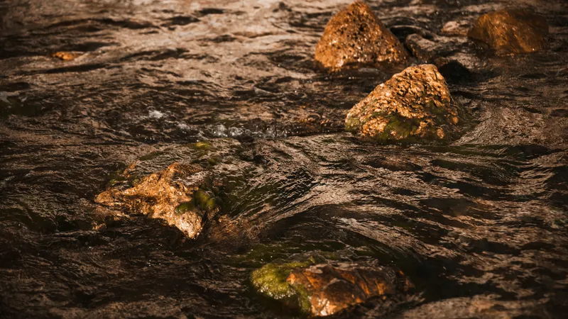 Ядро Земли начало "выплевывать" золото и драгметаллы на поверхность