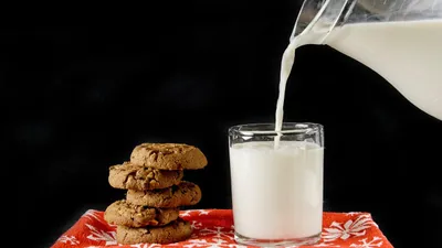 В Казахстане обновят правила выдачи работникам молока и лечебного питания