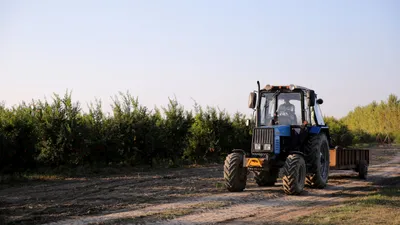 Фото: freepik, фото - Новости Zakon.kz от 28.04.2026 20:53