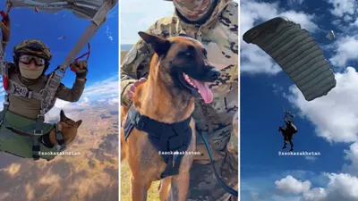 Парашют, собака, фото - Новости Zakon.kz от 28.04.2026 15:17