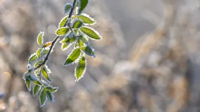 freepik, фото - Новости Zakon.kz от 28.04.2026 20:22