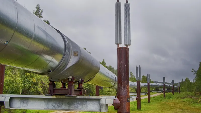 Стало известно, куда перенаправит Казахстан 260 тыс. тонн нефти вместо "Дружбы"