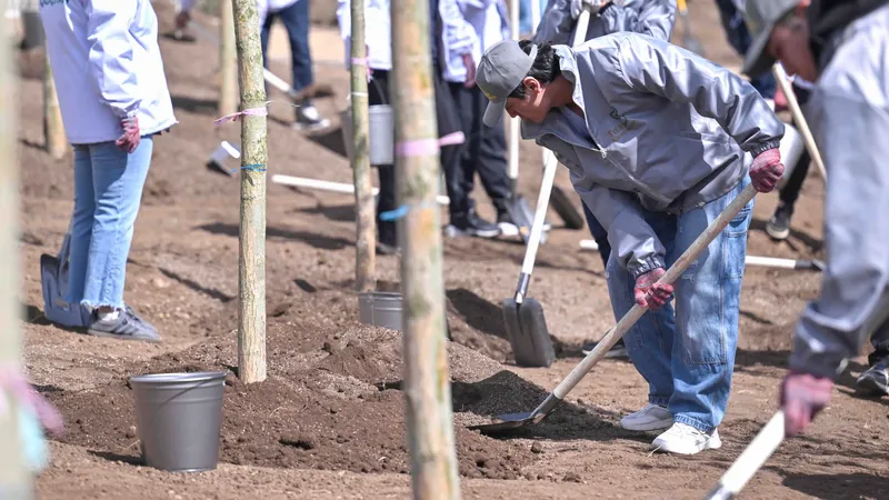 Посадка деревьев, высадка деревьев, высадка саженцев, посадка саженцев, озеленение, саженцы, фото - Новости Zakon.kz от 29.04.2026 16:42