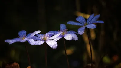 , фото - Новости Zakon.kz от 30.04.2026 13:40