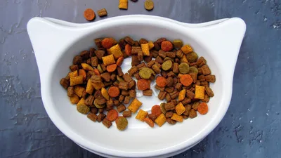 кошачий корм, фото - Новости Zakon.kz от 29.04.2026 12:03