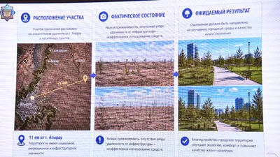 Атырау, озеленение, деревья, фото - Новости Zakon.kz от 29.04.2026 13:27