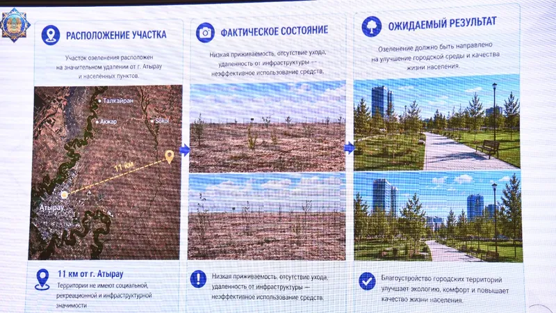 Атырау, озеленение, деревья