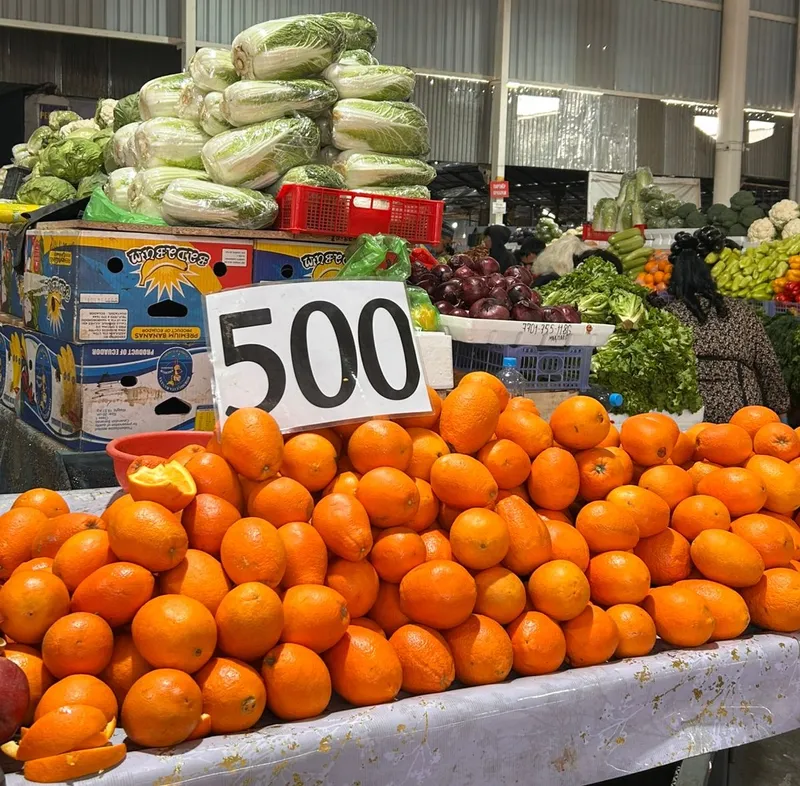 Шымкент, зимовка, внутренний туризм, фото - Новости Zakon.kz от 29.04.2026 16:30