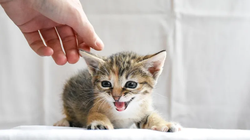 , фото - Новости Zakon.kz от 30.04.2026 00:35