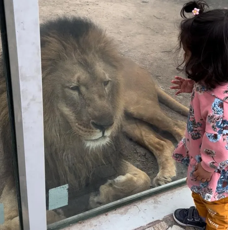 Шымкент, зимовка, внутренний туризм, фото - Новости Zakon.kz от 29.04.2026 16:30