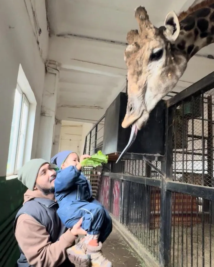 Шымкент, зимовка, внутренний туризм, фото - Новости Zakon.kz от 29.04.2026 16:30