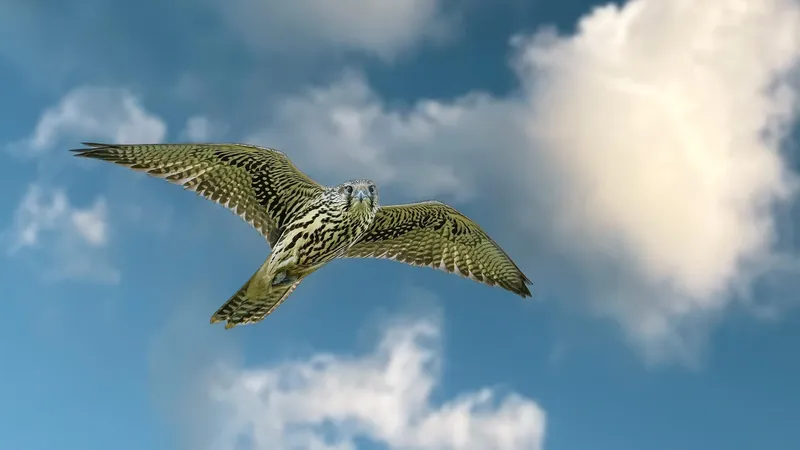 сокол-балобан, фото - Новости Zakon.kz от 29.04.2026 17:13