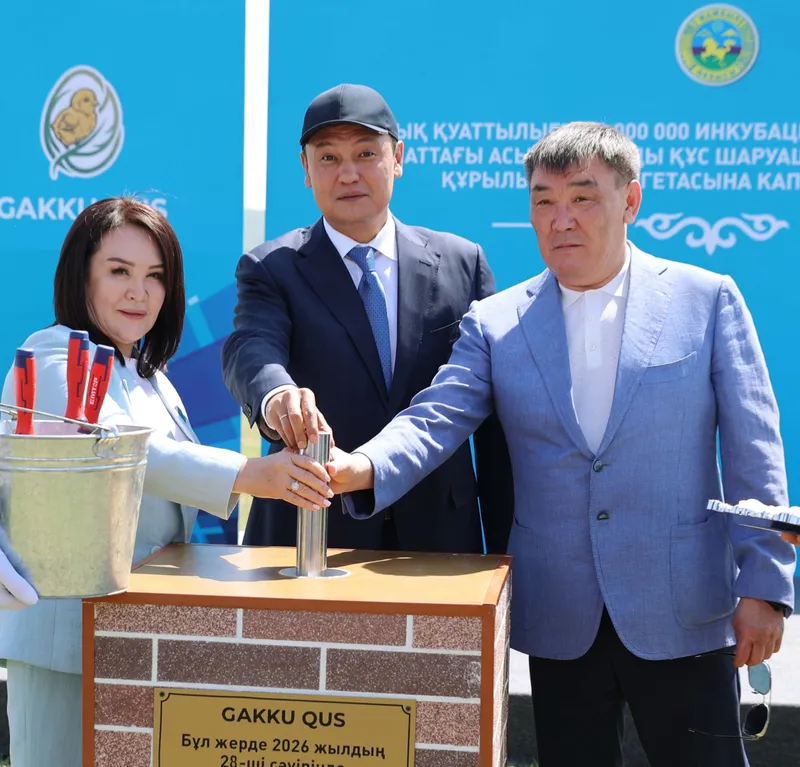 строительство завода в Жамбылской области, фото - Новости Zakon.kz от 30.04.2026 18:03