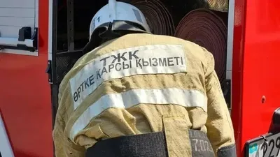 спасатели помогли котенку в Кызылорде