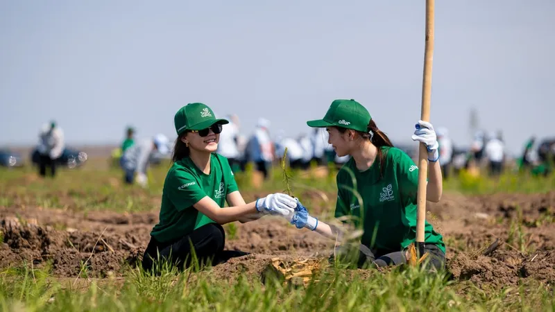 возрождение леса, фото - Новости Zakon.kz от 14.05.2026 19:46