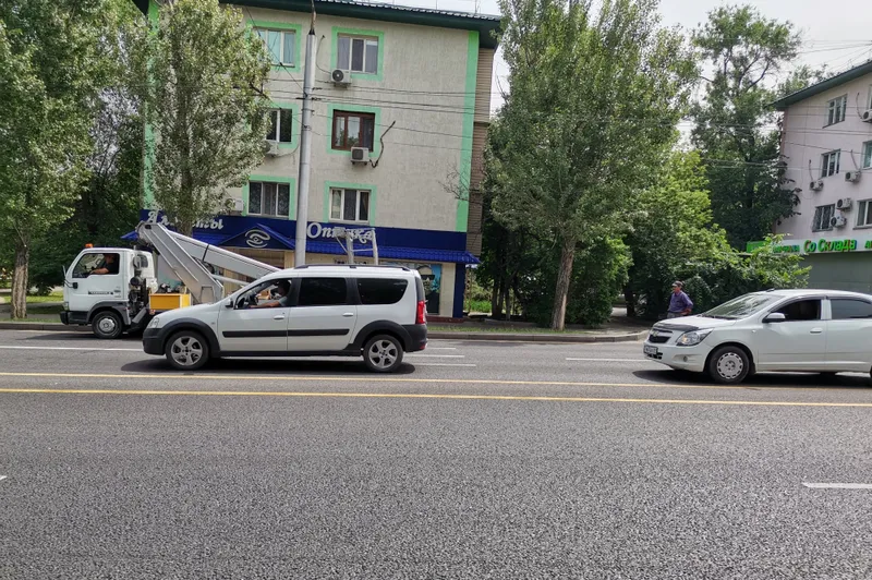 В Алматы на улицах Гагарина и Жарокова появилась новая разметка: что она означает и для чего нужна, фото - Новости Zakon.kz от 21.05.2026 17:36