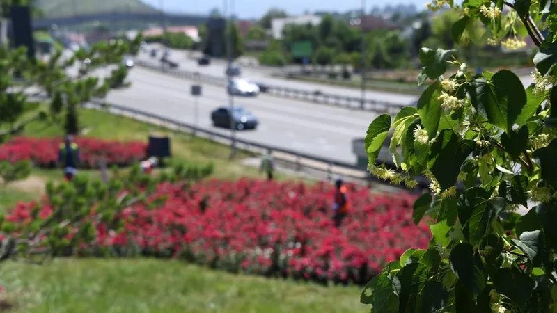 благоустройство в Алматы, фото - Новости Zakon.kz от 30.05.2026 12:46