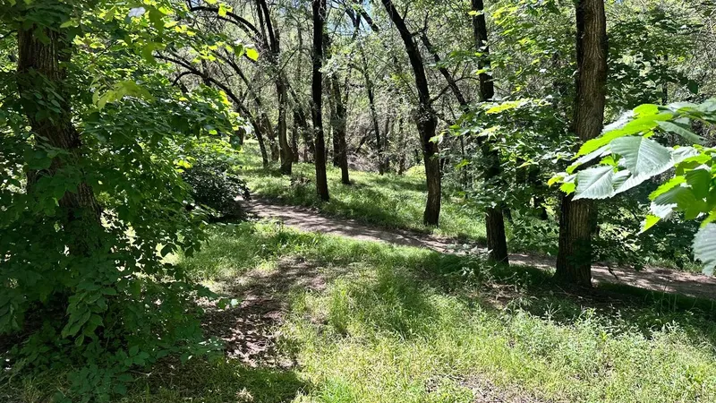 парк "Желтоксан", тихий парк, забытое место, уютныый парк, фото - Новости Zakon.kz от 01.06.2026 15:55