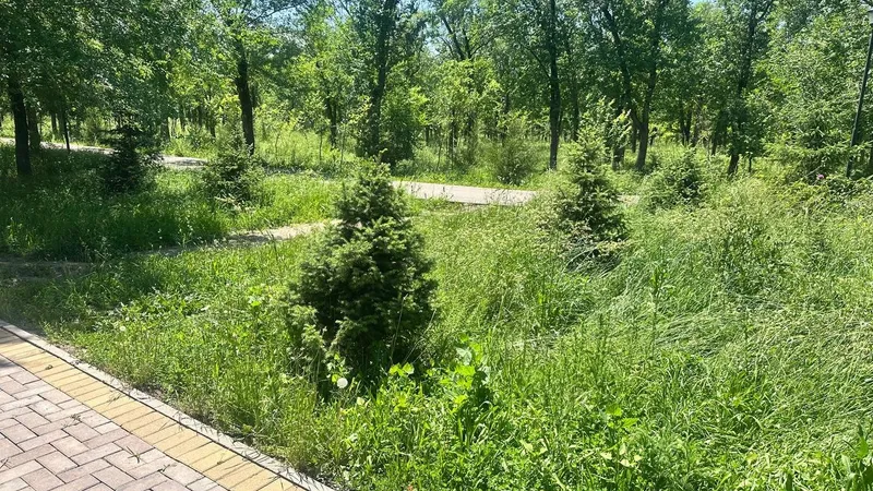 парк "Желтоксан", тихий парк, забытое место, уютныый парк, фото - Новости Zakon.kz от 01.06.2026 15:55