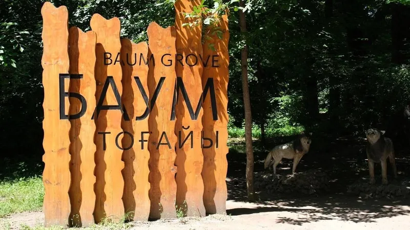 Роща Баума в Алматы, фото - Новости Zakon.kz от 03.06.2026 11:20