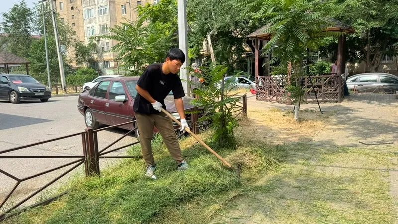 Инициативы в Шымкенте, фото - Новости Zakon.kz от 09.06.2026 16:21