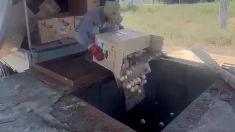 уничтожение опасных яиц в Алматы