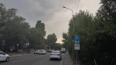 Платная парковка в Алматы