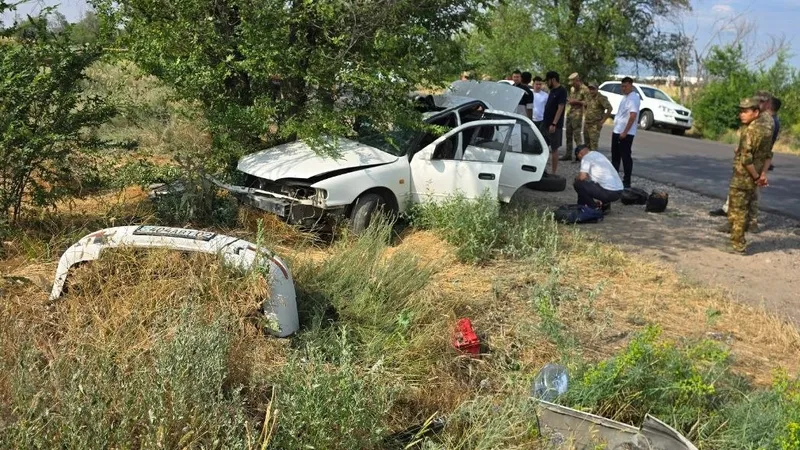 ДТП в Алматинской области, фото - Новости Zakon.kz от 23.06.2026 16:38