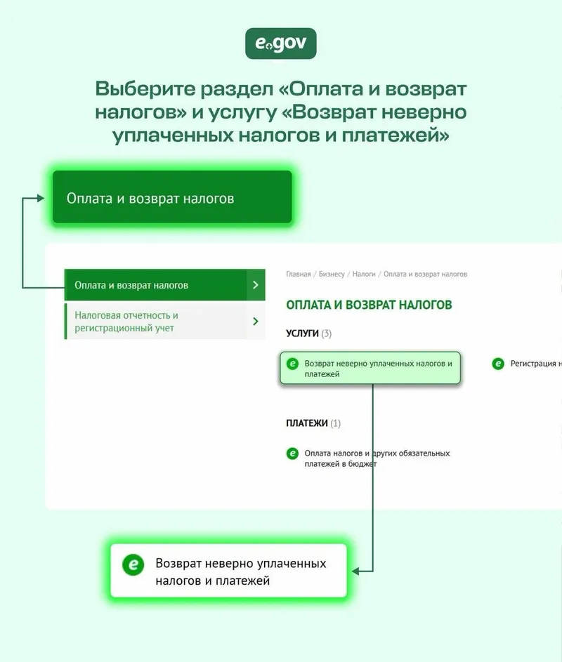 возврат денег за госномер, фото - Новости Zakon.kz от 23.06.2026 13:08