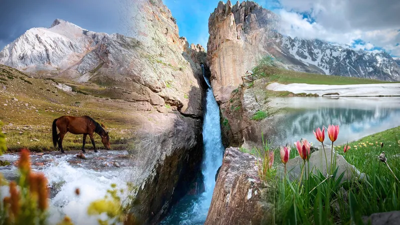 Шымкент, туризм, внутренний туризм, экотуризм, фото - Новости Zakon.kz от 26.06.2026 11:31