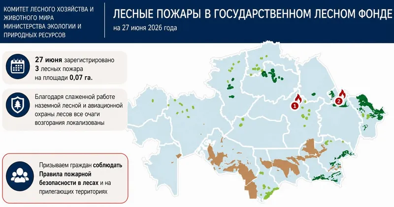 Гроза спровоцировала лесные пожары в Казахстане, фото - Новости Zakon.kz от 27.06.2026 20:50