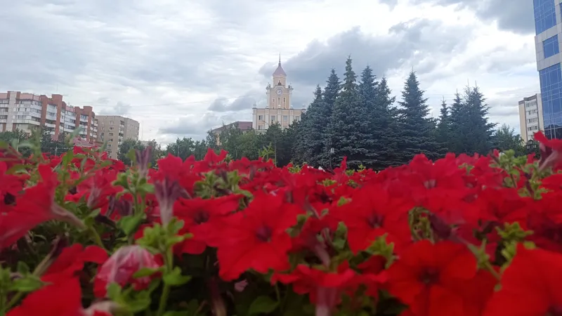 Цветочные клумбы, Костанай, озеленение, фото - Новости Zakon.kz от 03.07.2026 09:45