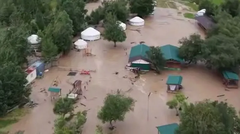 Фото: скриншот видео
