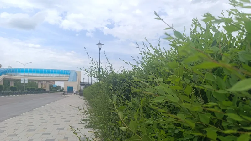 Цветочные клумбы, Костанай, озеленение, фото - Новости Zakon.kz от 03.07.2026 09:45