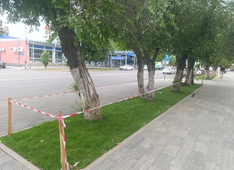 Цветочные клумбы, Костанай, озеленение, фото - Новости Zakon.kz от 03.07.2026 09:45