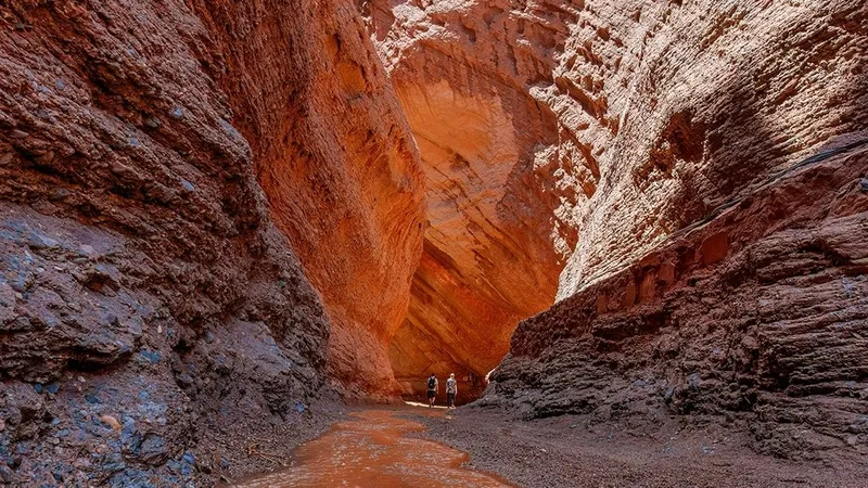 каньон, горы, Китай, фото - Новости Zakon.kz от 06.07.2026 09:47