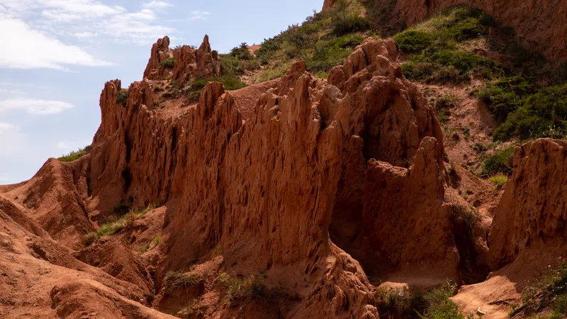 Иссык-куль, Кыргызстан, туризм, фото - Новости Zakon.kz от 08.07.2026 11:49