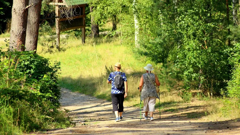 прогулка летом, фото - Новости Zakon.kz от 15.07.2026 13:17