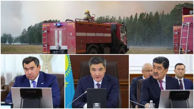 Семей орманы, пожар, Чингис Аринов, Олжас Бектенов, Ерлан Нысанбаев