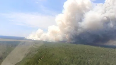 , фото - Новости Zakon.kz от 16.07.2026 14:44