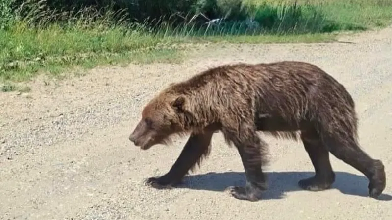 Фото: скриншот видео, фото - Новости Zakon.kz от 17.07.2026 07:35