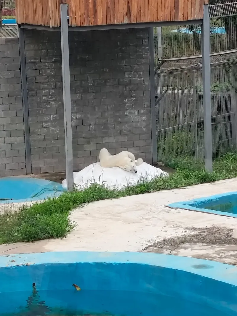 Алматинский зоопарк, фото - Новости Zakon.kz от 17.07.2026 16:52