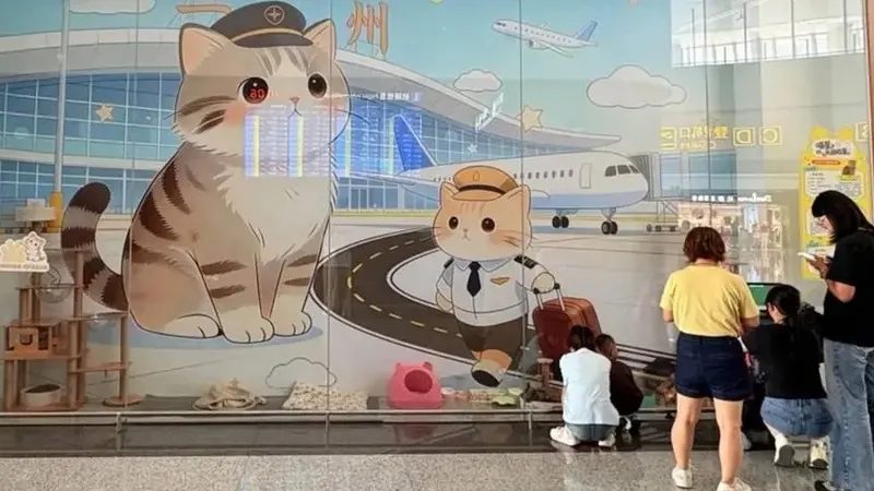 Кошки